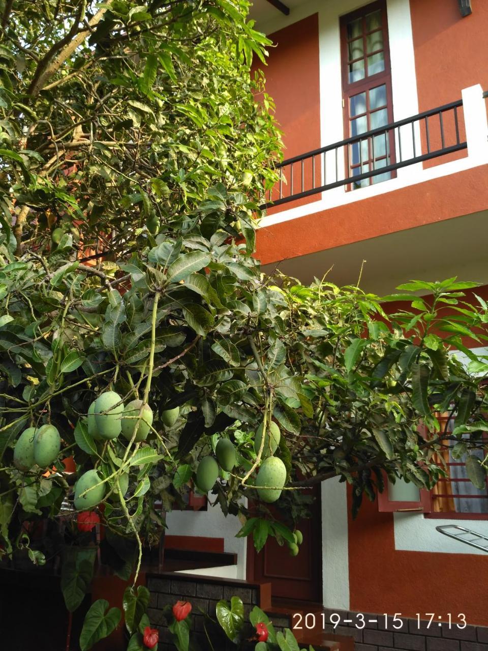 Nilas Guesthouse Хиккадува Экстерьер фото